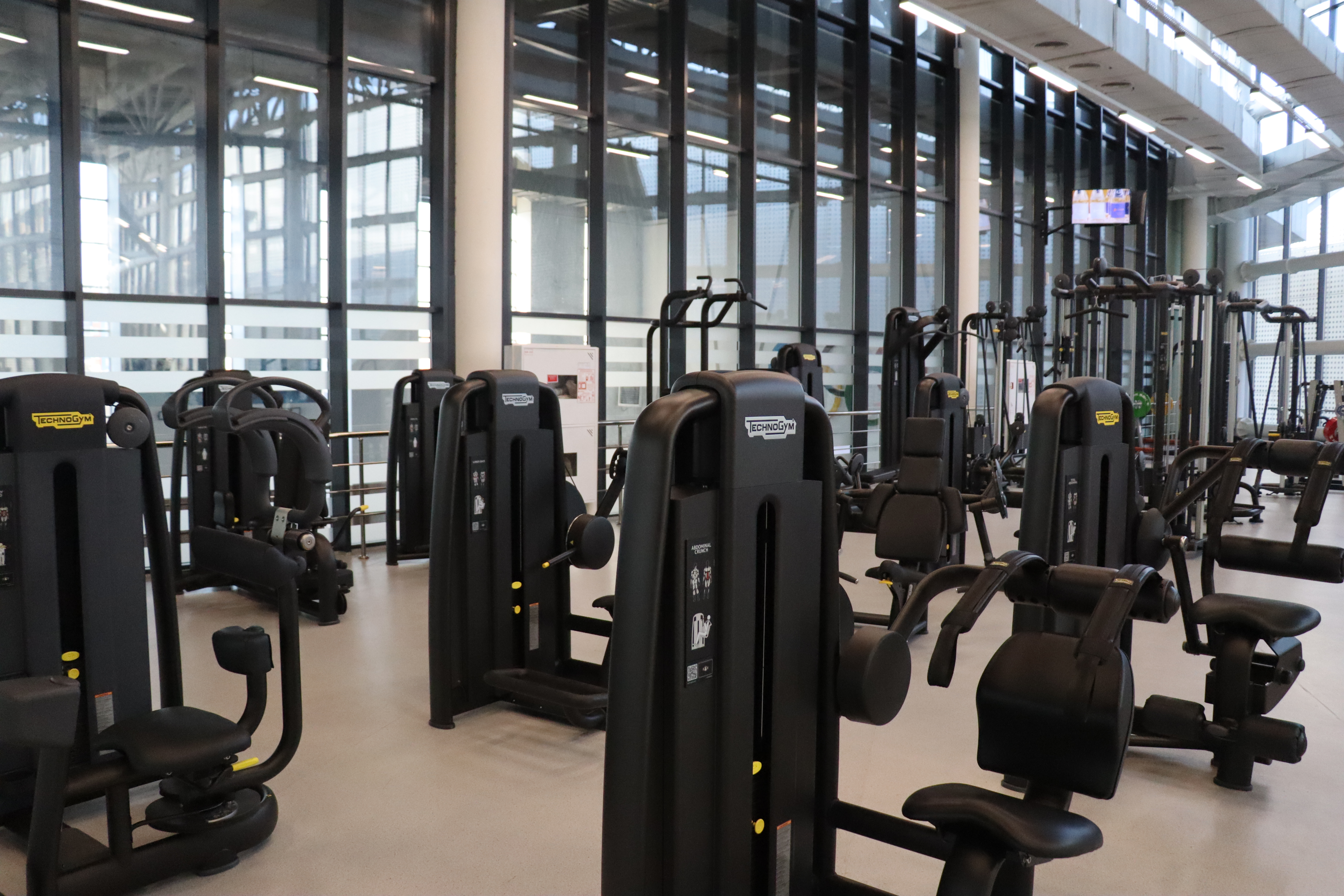 Тренировка с тренером: ключ к успеху!